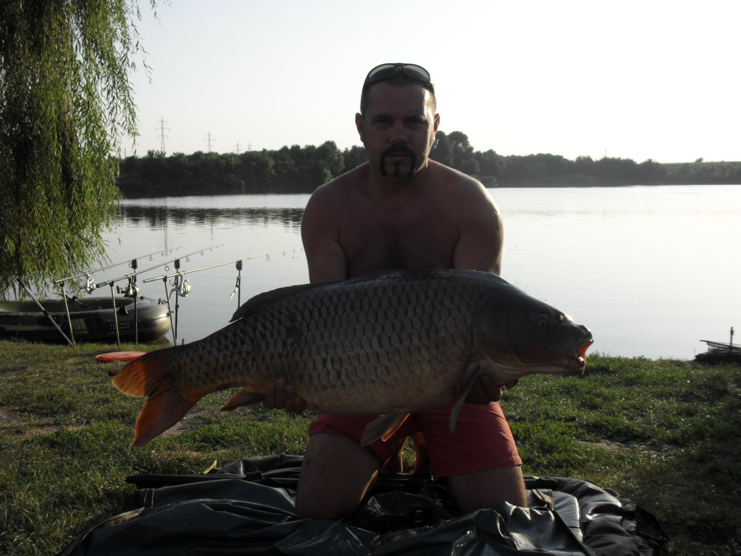 somn mania tancabesti - SAM_0868.JPG